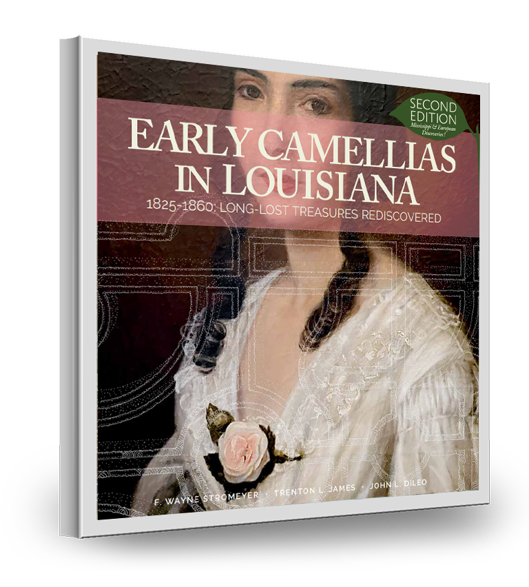 Early Camellias in Louisiana Book